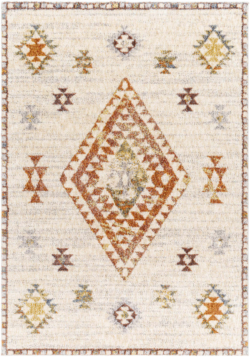 Sample Lanzo Area Rug - Clearance