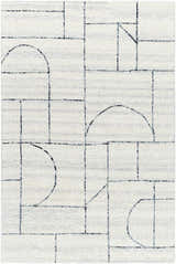 Sample Sanaz Charcoal Area Rug - Clearance