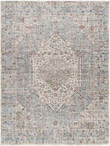 Sample Kalei Beige & Blue Area Rug - Clearance