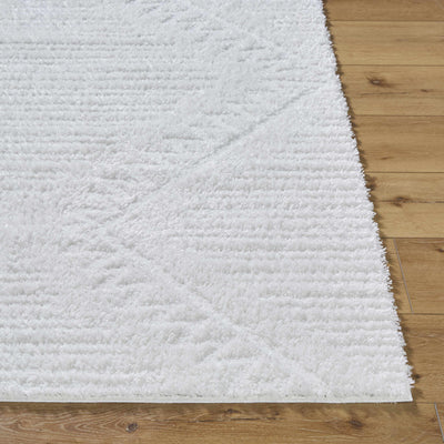 Edsel Off-White Area Rug