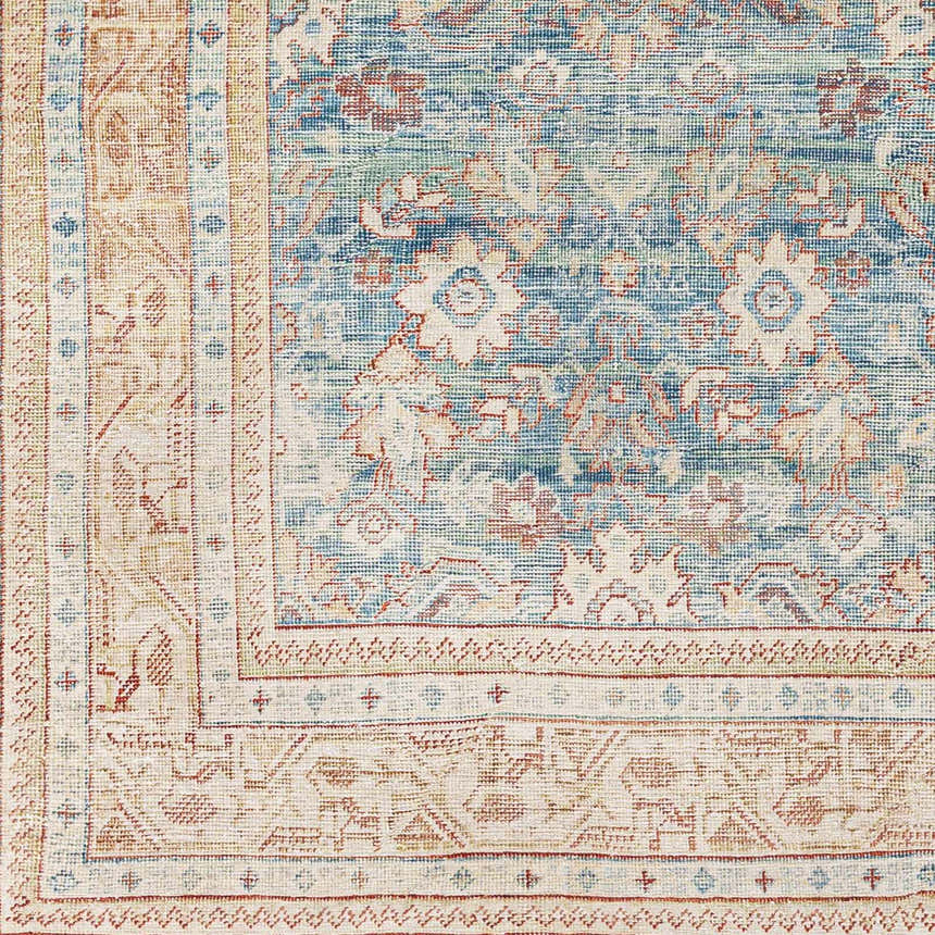 Sample Santol Persian Style Rug - Clearance