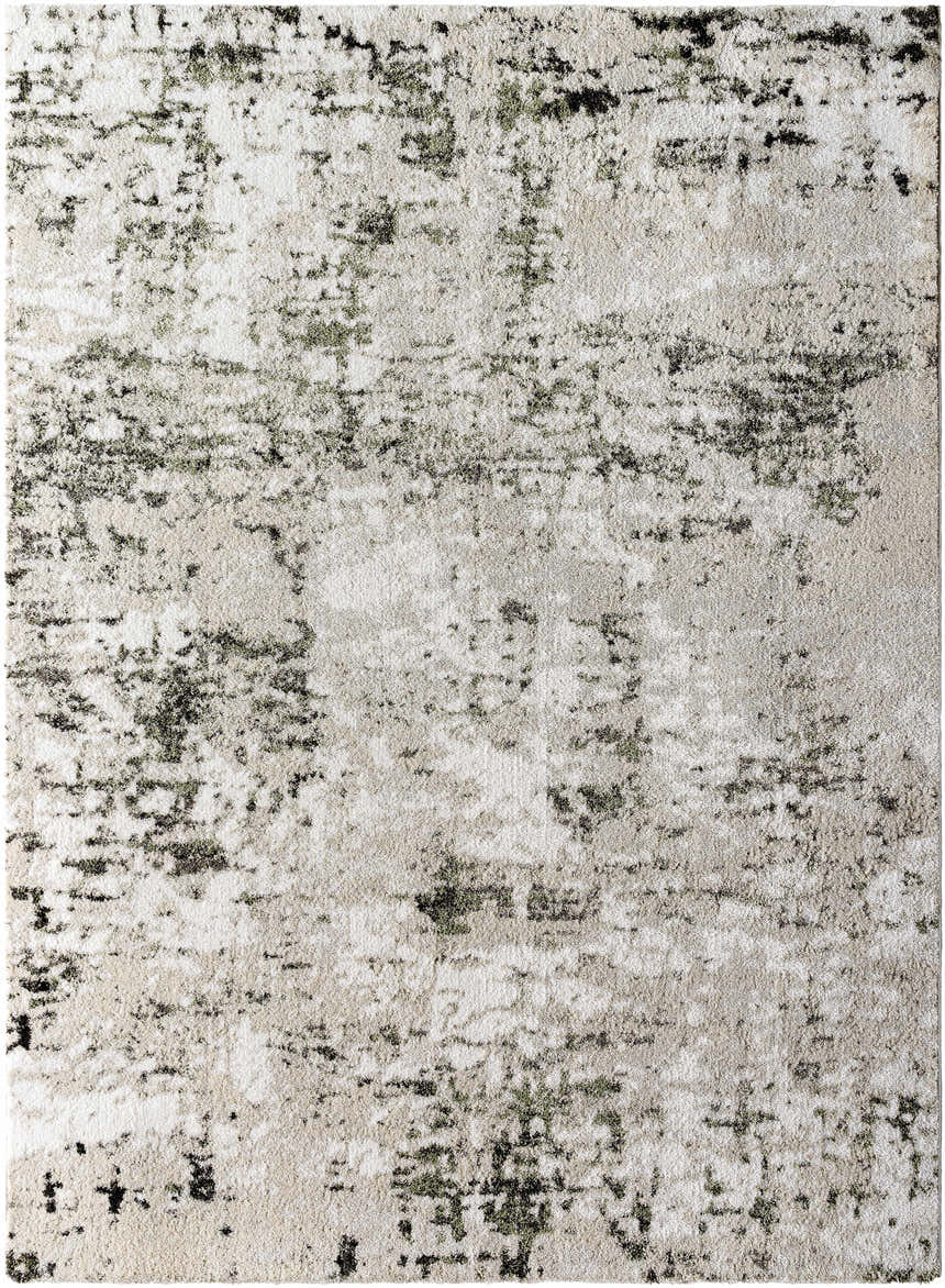Sample Paget Area Rug - Clearance