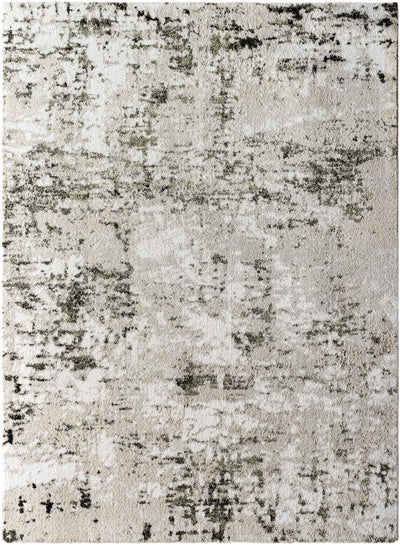 Sample Paget Area Rug