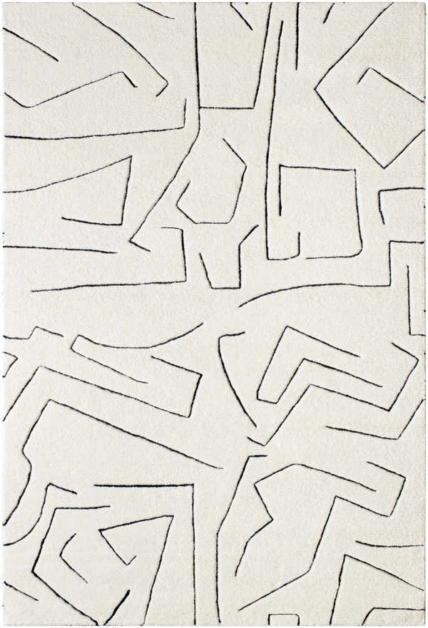 Sample Mony Area Rug