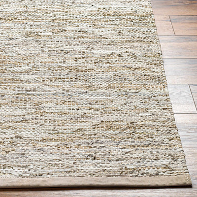 Sample Aneko Beige Area Rug