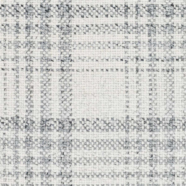 Sample Inara Gray Plaid Area Rug