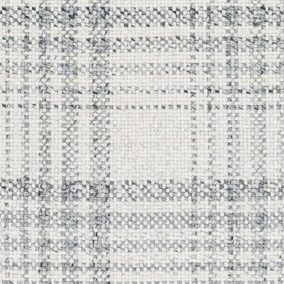 Sample Inara Gray Plaid Area Rug