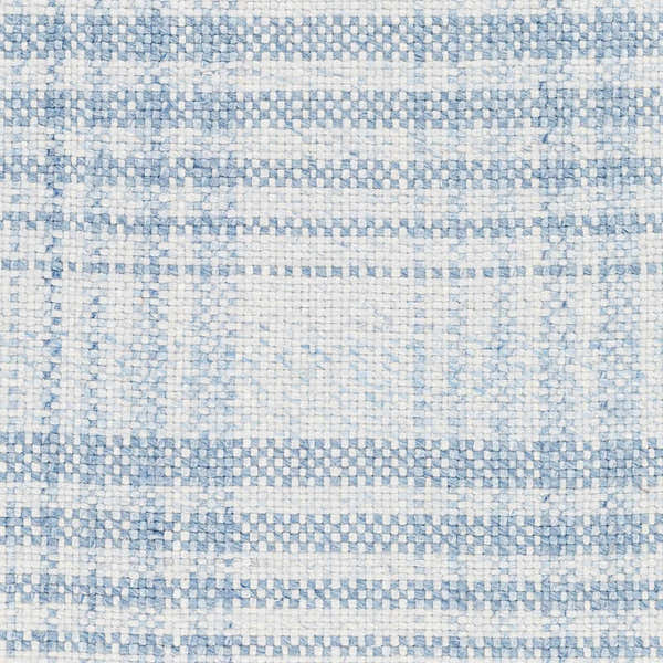Sample Inara Blue Plaid Area Rug