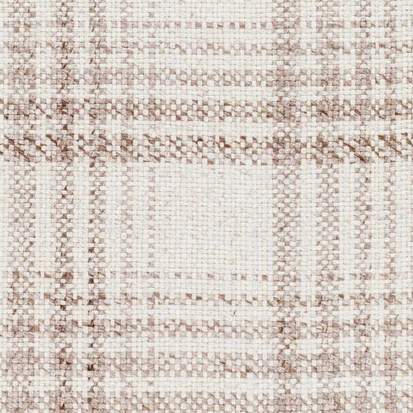 Sample Inara Light Brown Plaid Hand Woven Area Rug