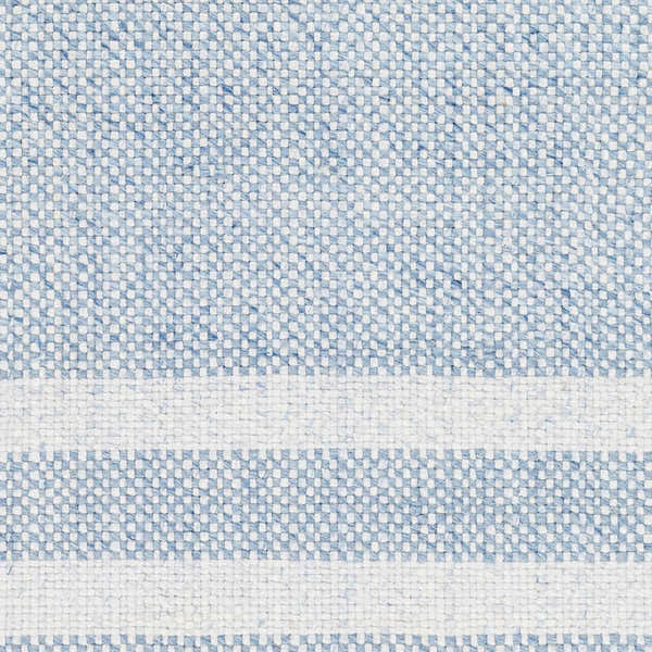 Sample Loic Silver Blue Area Rug