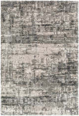 Sample Skah Natural Gray Area Rug - Clearance