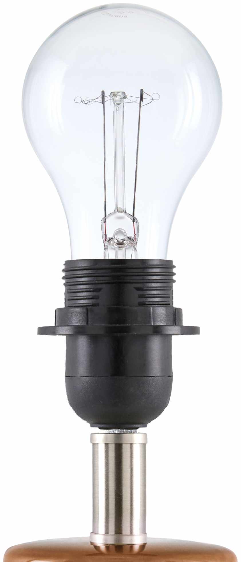 Salgareda Brown Table Lamp