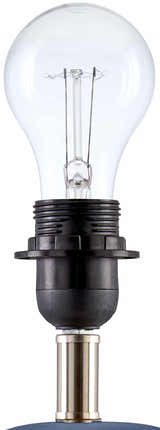 Salgareda Beetle Green Table Lamp