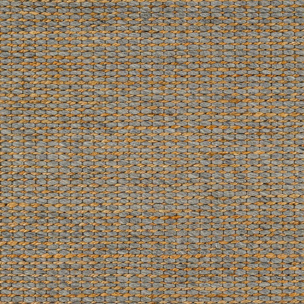 Sample Riki Gray Area Rug