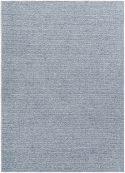 Sample  Isako Blue & Gray Solid Washable Area Rug
