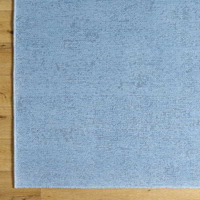 Sample Isako Blue Solid Washable Area Rug