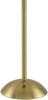 Sibirskiy Table Lamp