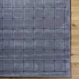 Sample Sanvi Charcoal Area Rug