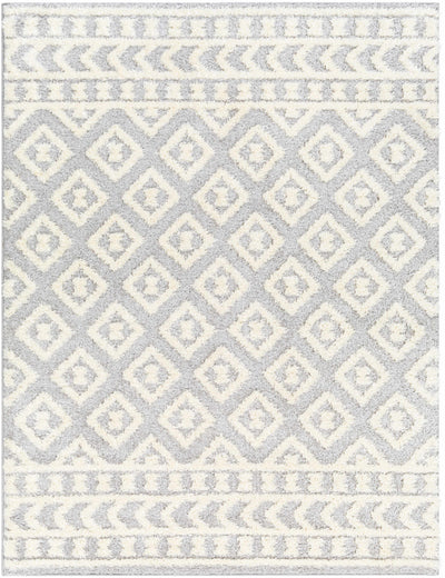 Sample Felix Gray Plush Area Rug