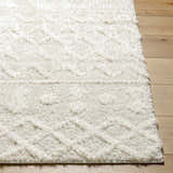 Sample Ilyas Area Rug - Clearance