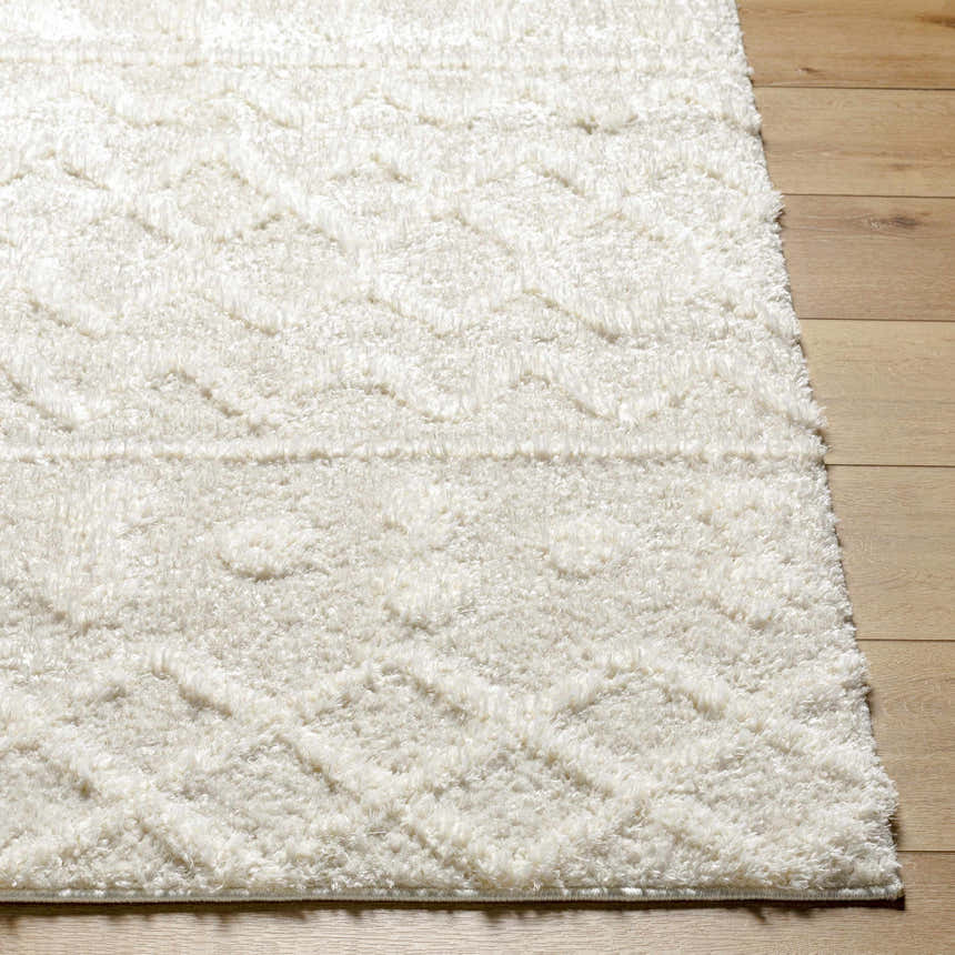 Sample Ilyas Area Rug - Clearance