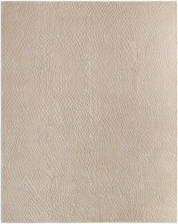 Sample Plata Area Rug