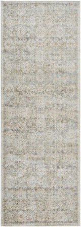 Itzel Area Rug - Clearance