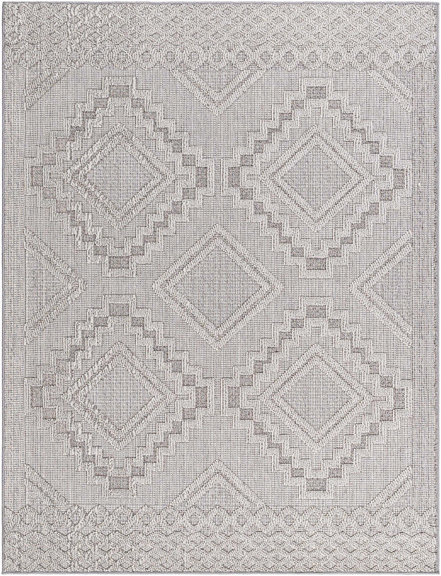 Sample Arwid Light Gray Area Rug - Clearance