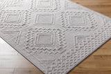 Arwid Light Gray Area Rug