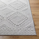 Arwid Light Gray Area Rug