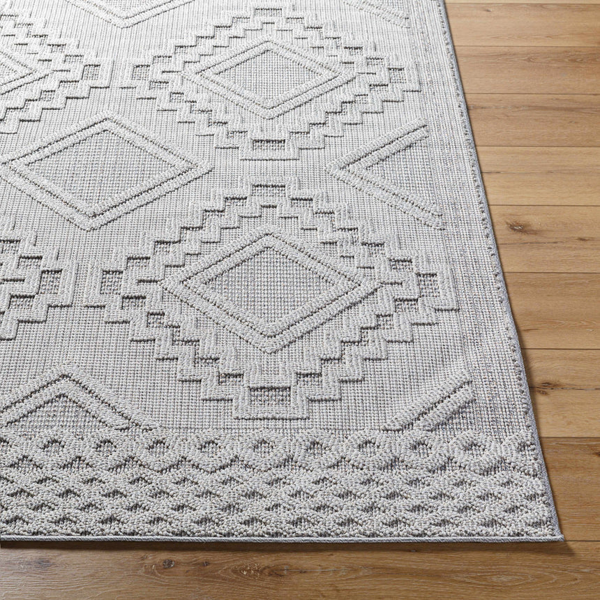 Arwid Light Gray Area Rug