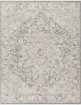 Sample Charo Light Gray Area Rug