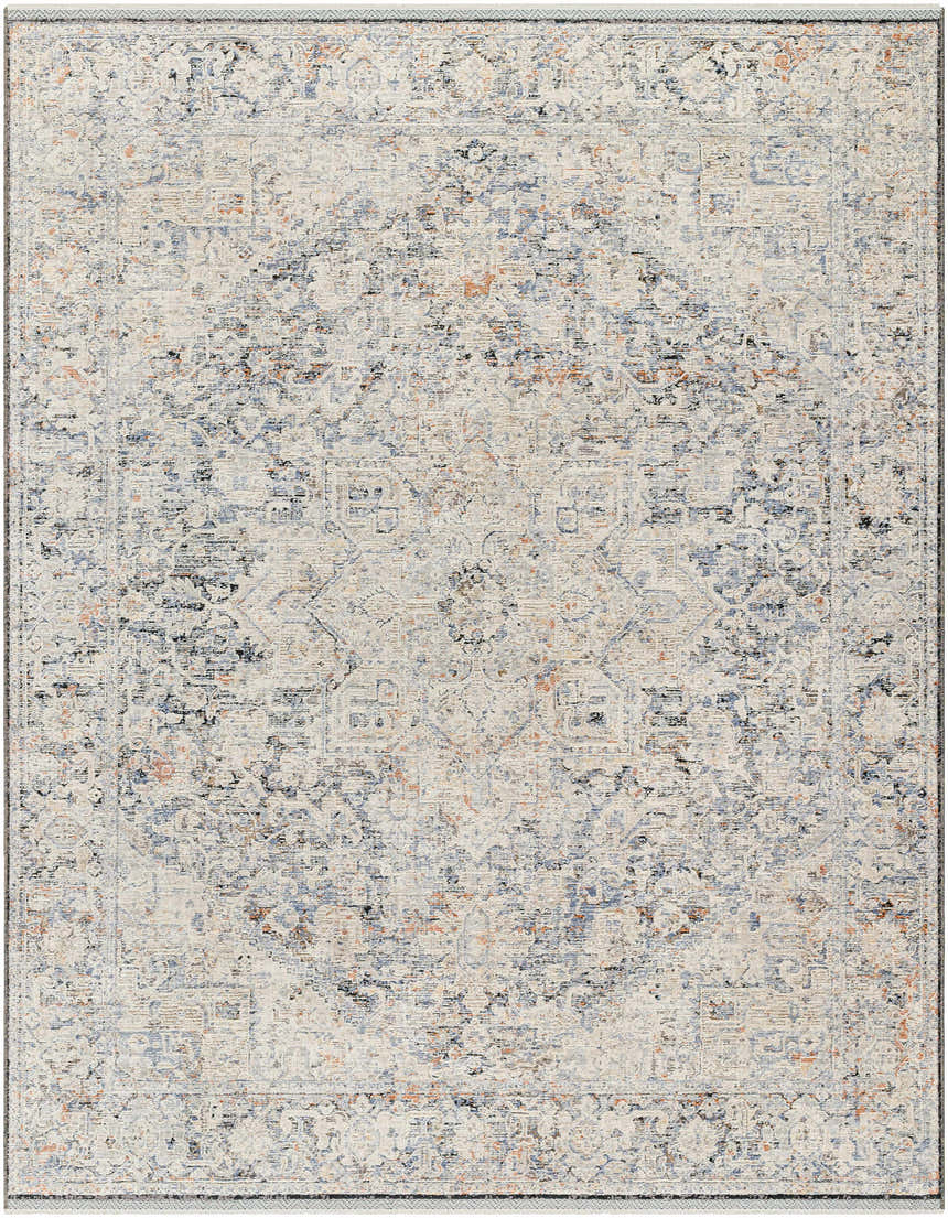 Sample Charo Light Gray Area Rug