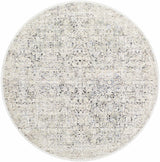 Haran Natural Gray Area Rug - Clearance