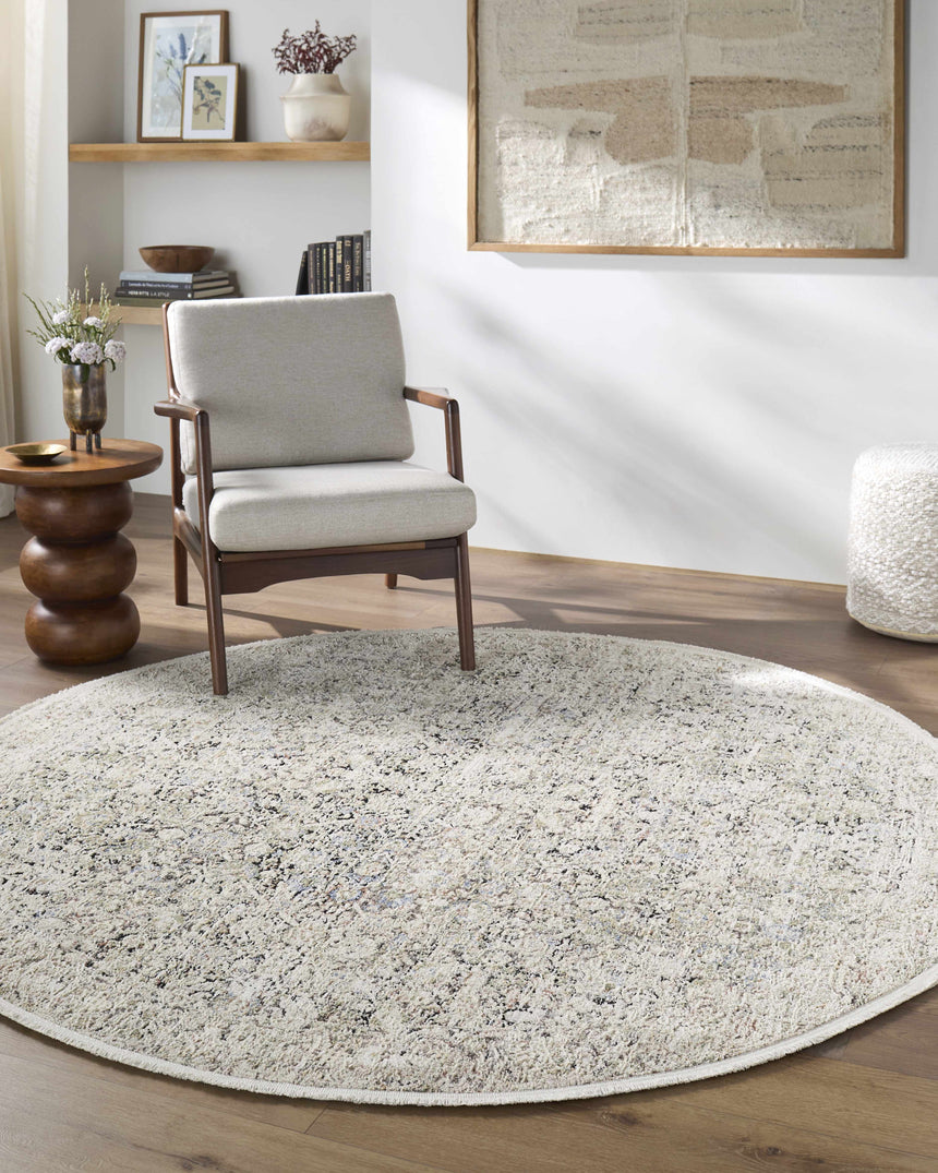 Haran Natural Gray Area Rug - Clearance
