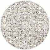 Haran Cloud Gray Area Rug