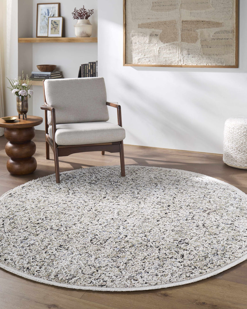 Haran Cloud Gray Area Rug