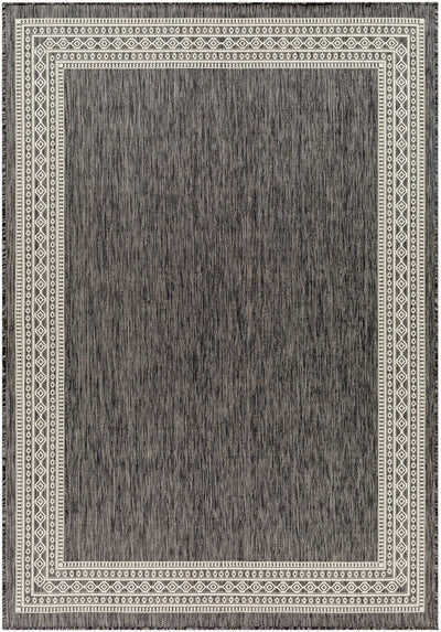 Sample Aleli Black & White Area Rug