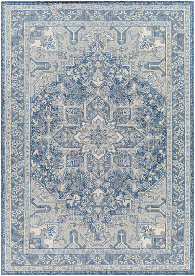 Sample Cohen Blue Area Rug