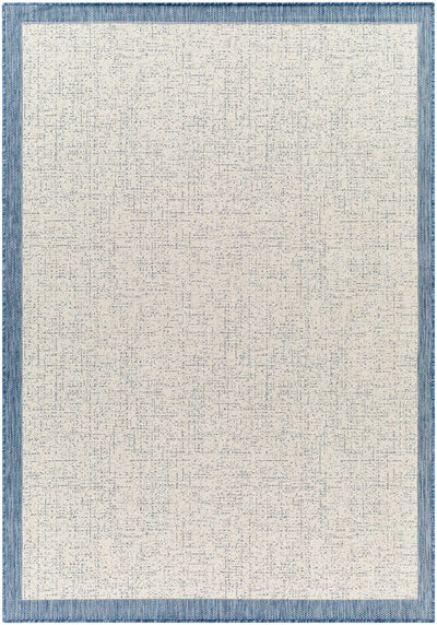 Sample Demas Blue & Cream Area Rug