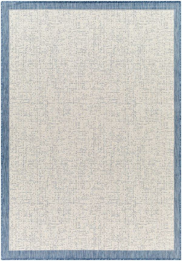 Sample Demas Blue & Cream Area Rug