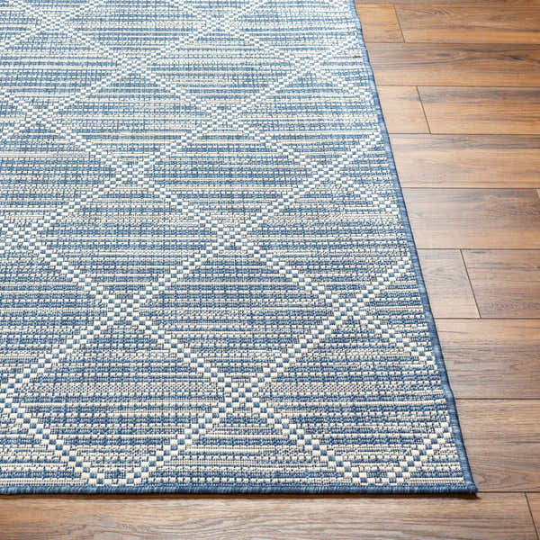Sample Ivora Blue Area Rug - Clearance