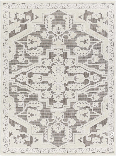 Chen Outdoor Rug - Clearance