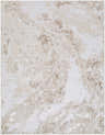 Close-up of the Kaleo Area Rug, featuring a contemporary beige, cream, and tan abstract pattern. Design-Rectangle-537