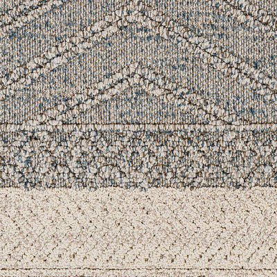 Sample Blue Areli Area Rug