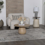 Stambaugh Luxury Fringed Faux Silk Rug