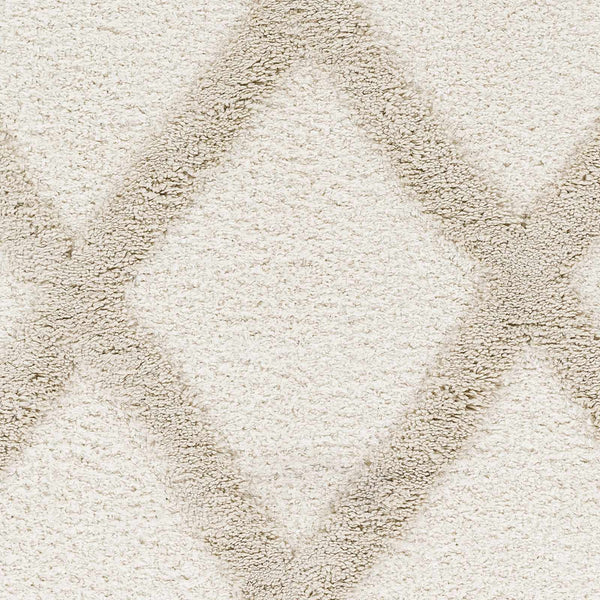 Sample Sulusaray Area Rug