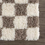 Sample Atira Brown Checkered Area Rug