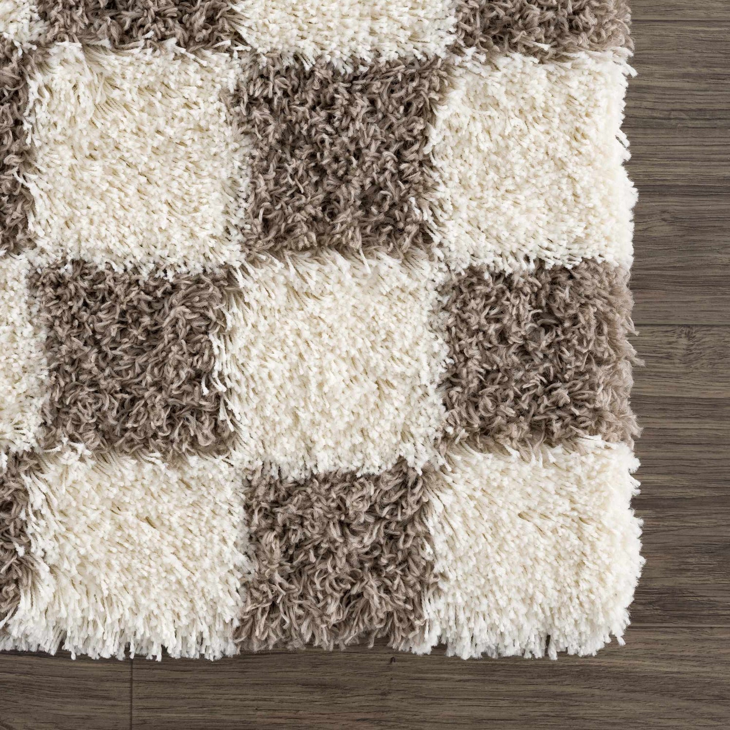 Sample Atira Brown Checkered Area Rug