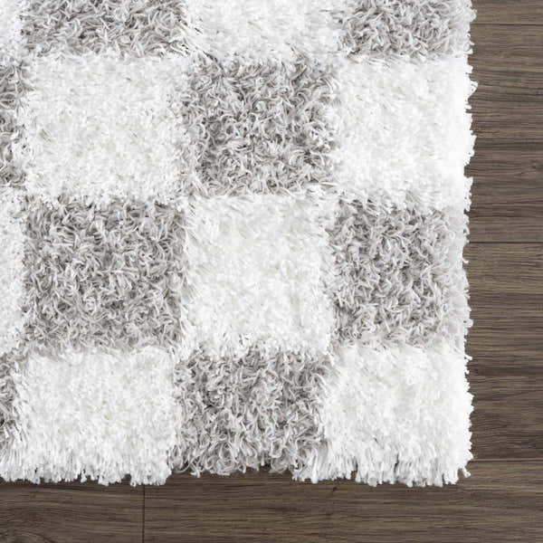 Sample Atira Gray Checkered Area Rug